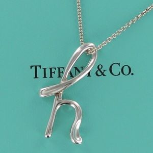 Tiffany & Co. Elsa Peretti “H” Necklace